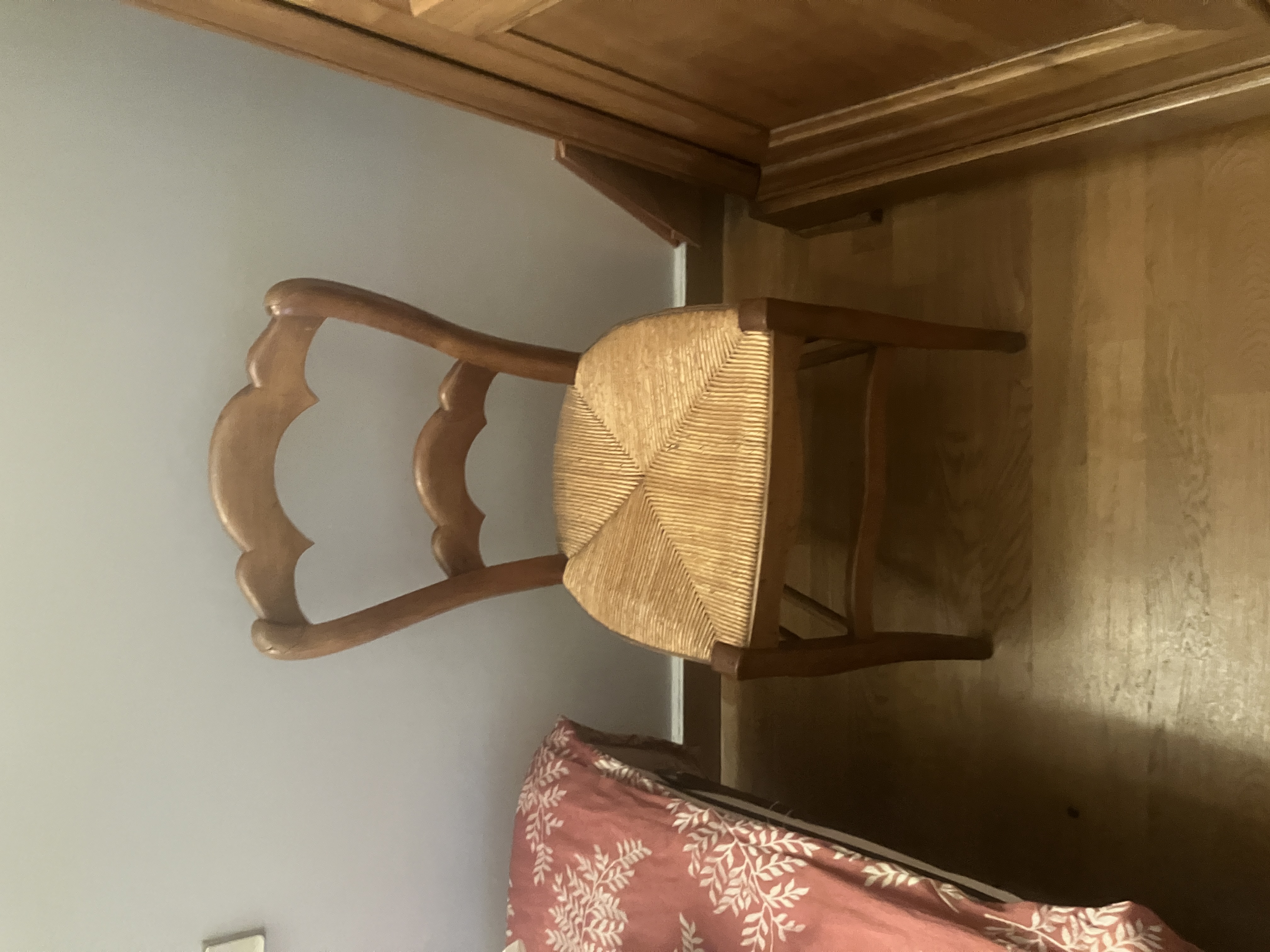 Chaises Paillees - Image 1